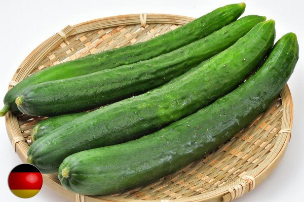 Schlangengurke-Salatgurke samen-Chinese-Slangen-15-stuck-Cucumis-sativus 25 stück
