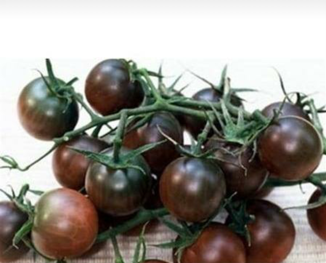 Chery Tomaten mini (Schwarz) 15 stück
