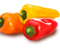 Mini Snack Paprika (Saatplatte) Capsicum annuuum L. 20 stück