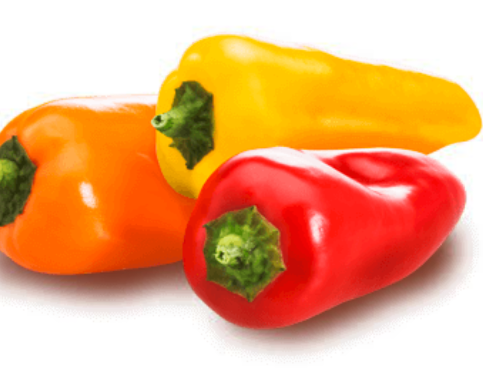 Mini Snack Paprika (Saatplatte) Capsicum annuuum L. 20 stück