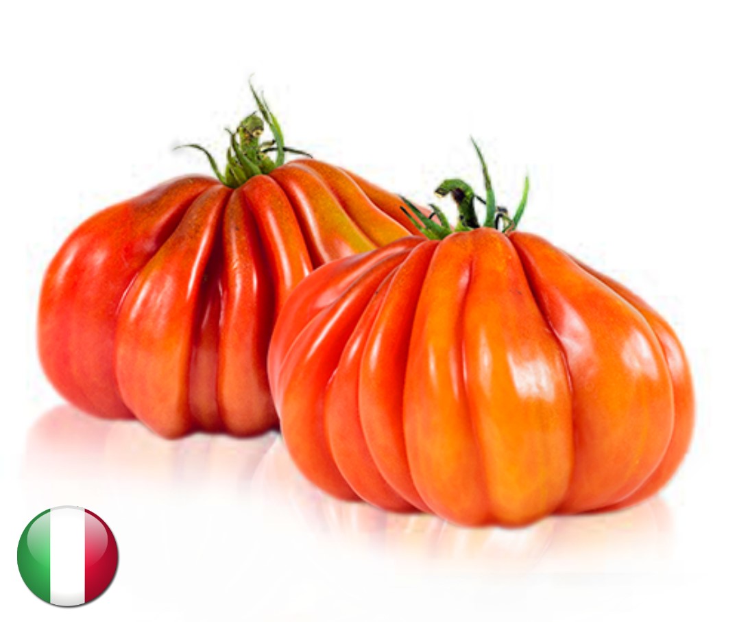 Corazon Tomate Samen 10 stück