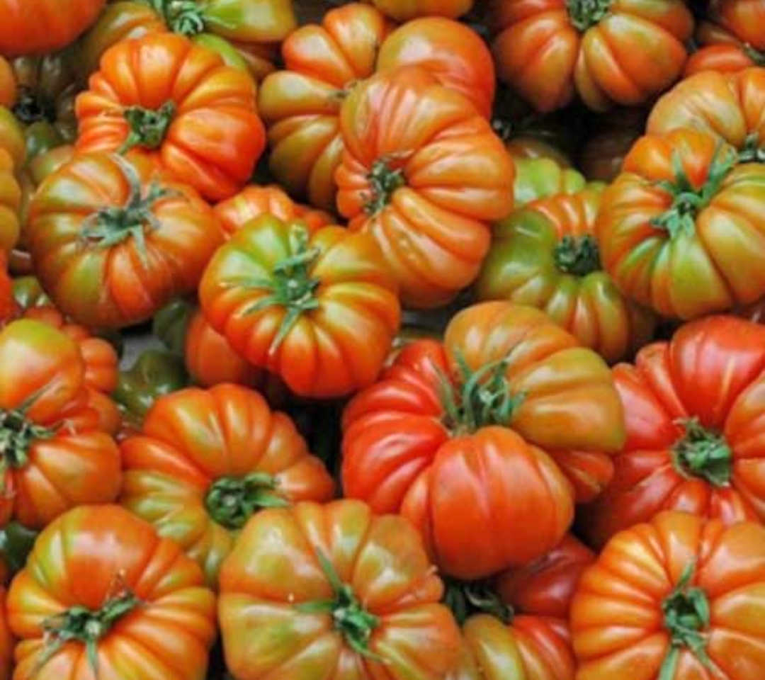 Corazon Tomate Samen 10 stück