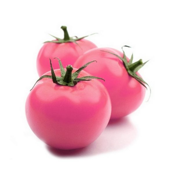 VEGETABLE PINK TOMATO - ADONIS - 15 SEEDS