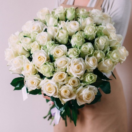 weiß Rose samen 10 stück
