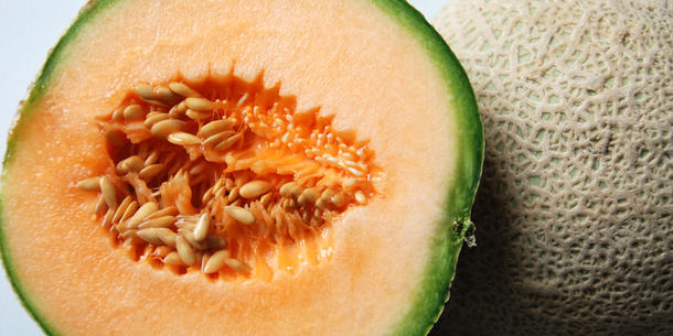 Melone Cucumis Seeds Obst Samen Stück 15 stück
