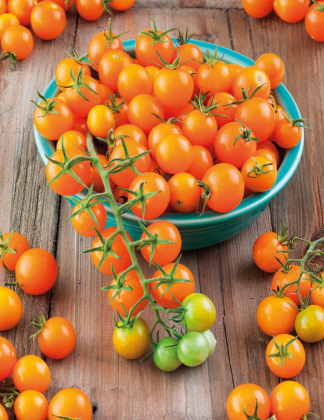 Chery Tomaten mini (Orange) 15 stück
