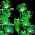 Fluoreszierende seltene Smaragd Blumen Samen Nacht Licht emittierende 10x seed