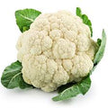 Blumenkohl Snowball x Brassica oleracea  0,4 Gr.