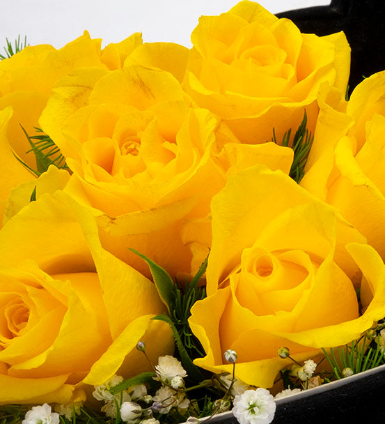 Rose samen gelb rose