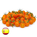 Chery Tomaten mini (Orange) 15 stück
